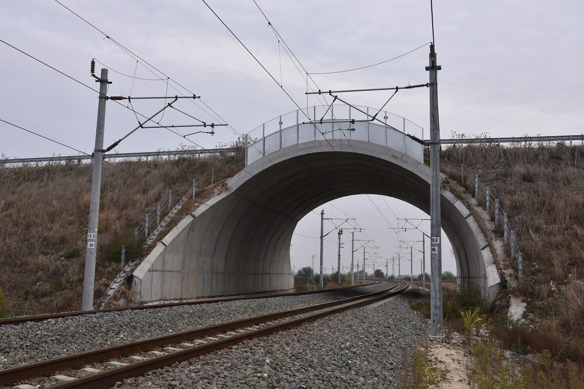DSC_1645.jpg
