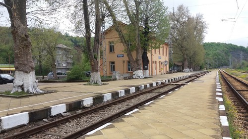 339.jpg