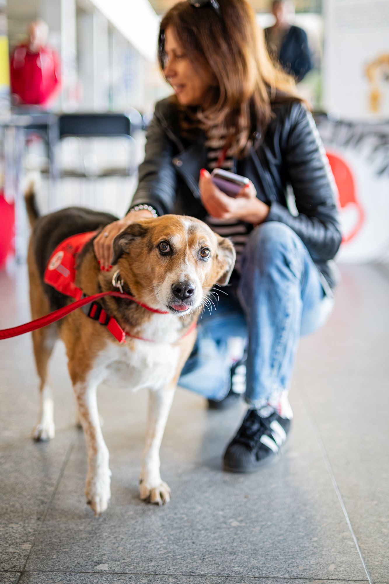 Four paws-1170.jpg