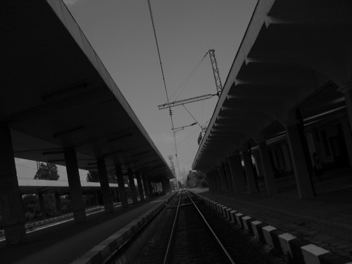 175.jpg