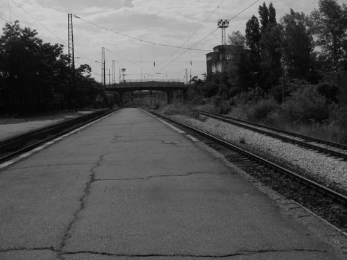 179.jpg