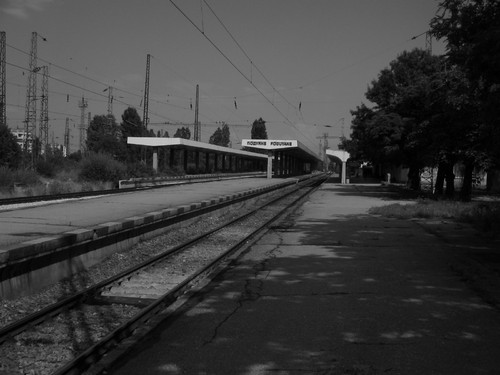 184.jpg