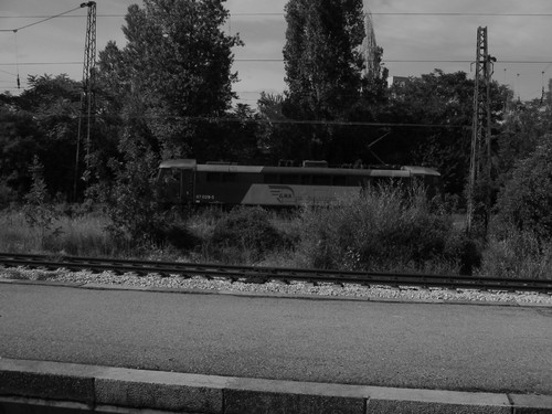212.jpg
