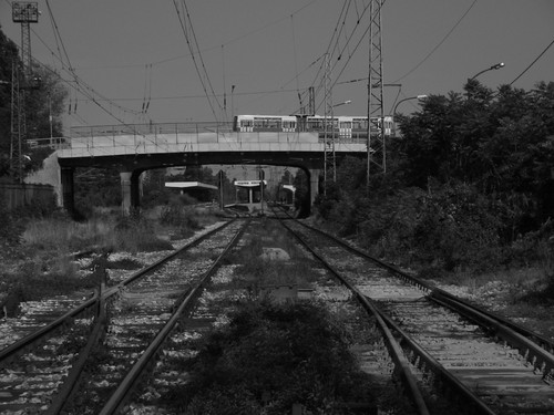 206.jpg